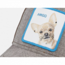 Gorra Goorin Bros Amigo Marrón