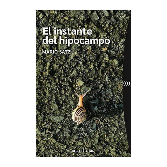 el Instante del Hipocampo