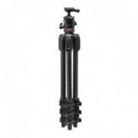 MANFROTTO Tripode 055 4 Secciones Carbono Rot. Bola As