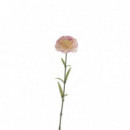 Terraza Y Jardín Vara 3549248