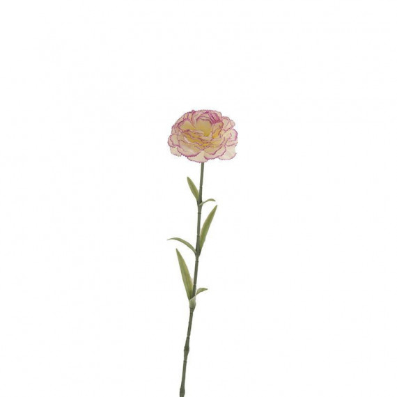 Terraza Y Jardín Vara 3549248