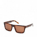 Gafas de Sol TB00042  TIMBERLAND