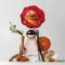 Cosmic
eau de Parfum  KYLIE JENNER