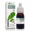 Ginkgo Biloba Extracto Natural Siglo Xxi 1 Envas  SORIA NATURAL