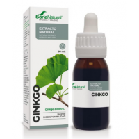 Ginkgo Biloba Extracto Natural Siglo Xxi 1 Envas  SORIA NATURAL