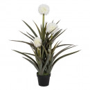 Planta Piña Verde-blanco 100CM  PÉREZ ÁVILA
