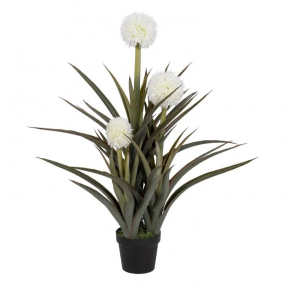 Planta Piña Verde-blanco 100CM  PÉREZ ÁVILA