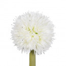 Planta Piña Verde-blanco 100CM  PÉREZ ÁVILA