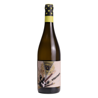 Viernes Godello 2024 - 75CL  BODEGAS GODELIA
