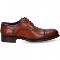 Blucher Picado Cuero  EMIREY