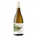 Fento Albariño 2024 - 75CL  FENTO WINES
