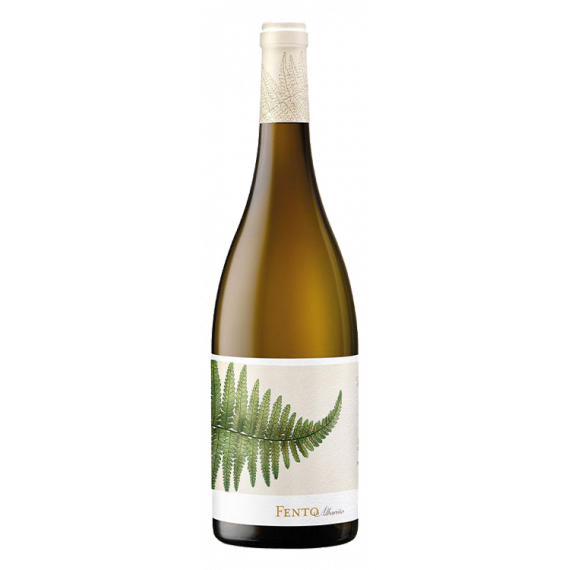 Fento Albariño 2024 - 75CL  FENTO WINES