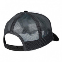 Gorra SANTA CRUZ  Flaming Dice Dot Meshback