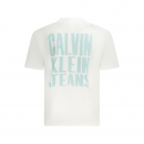 Camiseta CALVIN KLEIN Painted Blanca