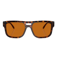 Gafas de Sol EA4197  EMPORIO ARMANI