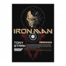 Poster Iron Man Marvel Luminiscente  GRUPO ERIK