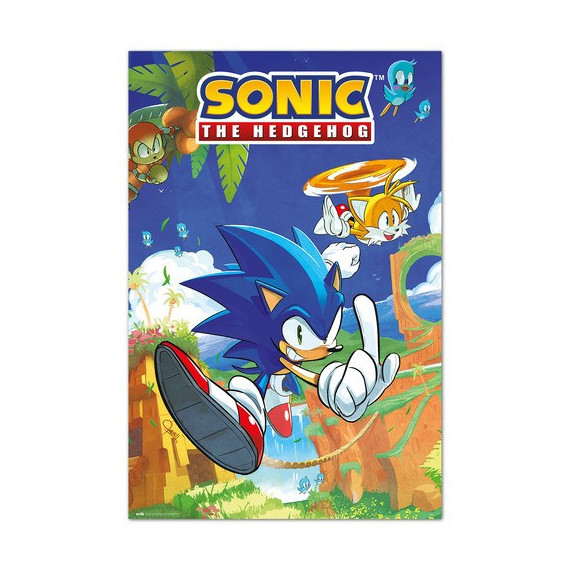 Poster Sonic y Tails Sonic The Hedgehog (GPE5798)  GRUPO ERIK