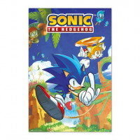 Poster Sonic y Tails Sonic The Hedgehog (GPE5798)  GRUPO ERIK