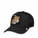 Gorra  Pantera  GOORIN BROS