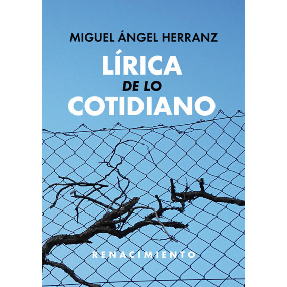 Lã­rica de lo Cotidiano