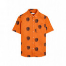 Camisas Camisa BASK IN THE SUN Natureza