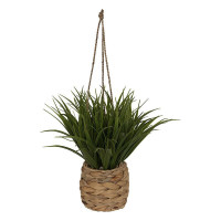 Terraza Y Jardín Planta 3513411