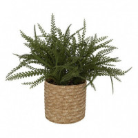 Terraza Y Jardín Planta 3513412