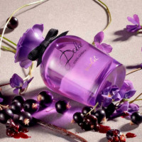Dolce Violet  DOLCE & GABBANA