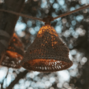 Guirnalda Led Decorativa Maro- 8M- Essentials®- Interior y Exterior  ESSENTIALS