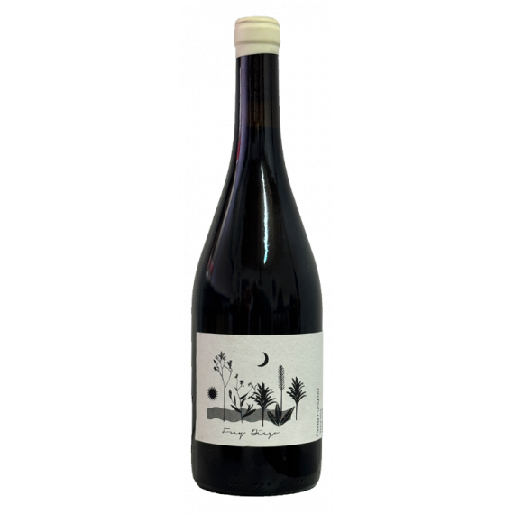 TIERRA FUNDIDA Fray Diego 2020 - 75CL