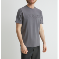 Camiseta Guess Alphy gris