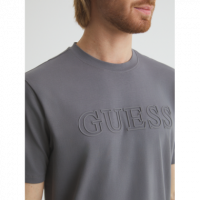 Camiseta Guess Alphy gris