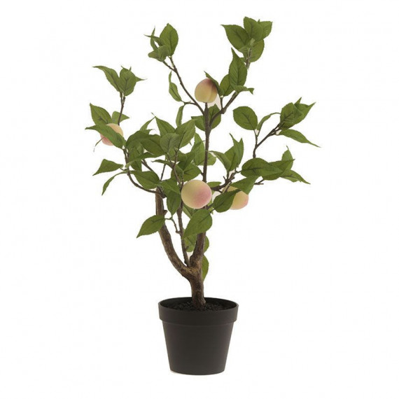 Terraza Y Jardín Planta 3549257