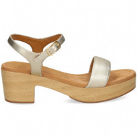 Carmelita Plataforma Met.platino  UNISA