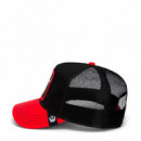 Gorra 'the Goat Steer'  GOORIN BROS