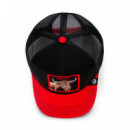 Gorra 'the Goat Steer'  GOORIN BROS