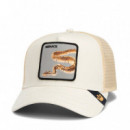 Gorra 'deadly Companion'  GOORIN BROS