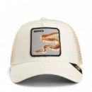 Gorra 'deadly Companion'  GOORIN BROS