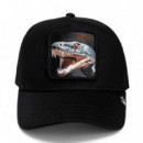 Gorra 'the Vicious Snake'  GOORIN BROS