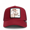 Gorra 'himothy'  GOORIN BROS