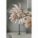 Arbol Pampas 170CM Beige  PÉREZ ÁVILA