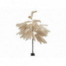 Arbol Pampas 170CM Beige  PÉREZ ÁVILA