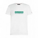 Bt-colour To Color Graphic Tee-b White  TOMMY HILFIGER