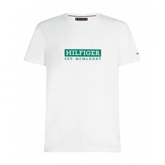 Bt-colour To Color Graphic Tee-b White  TOMMY HILFIGER