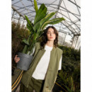 Chaquetas Hombre Chaleco CAT Spring Capulet Olive