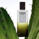 LOEWE Esencia Elixir Eau de Parfum