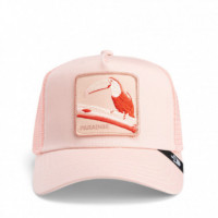 GOORIN BROS Gorra Rosa 101-1884-COR