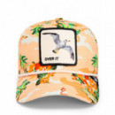 GOORIN BROS Gorra Multicolor 101-1912-SAN