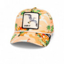GOORIN BROS Gorra Multicolor 101-1912-SAN