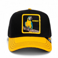 GOORIN BROS Gorra Negra 101-1940-BLK